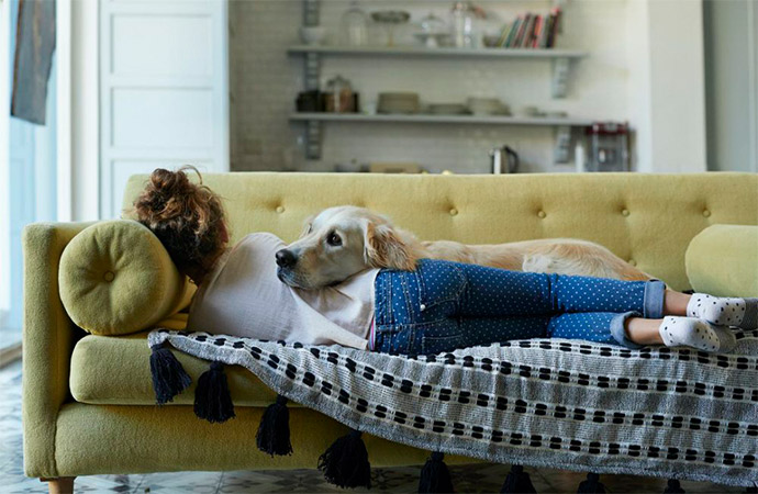 Pet and a Girl Laying on a Couch