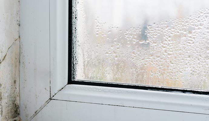 Humidity damaged window