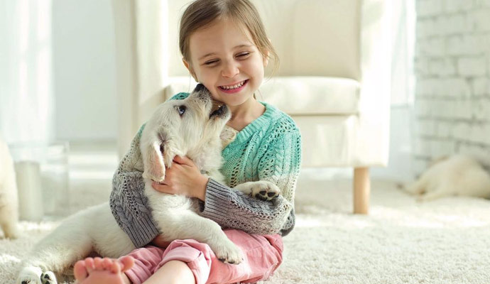 Tips for a Pet and Kid Friendly HVAC System