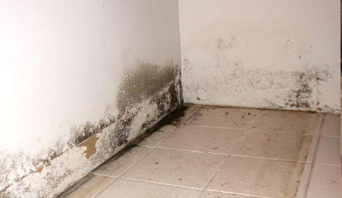 Why Do You Need to Repair a Leak Quickly?